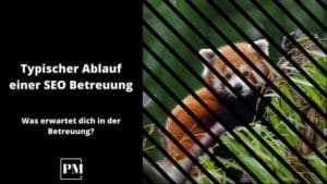 Mehr über den Artikel erfahren Wie sieht der Ablauf in der SEO Betreuung aus?