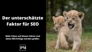 Mehr über den Artikel erfahren Der unterschätzte Faktor für SEO
