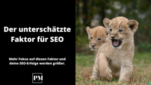 Read more about the article Der unterschätzte Faktor für SEO