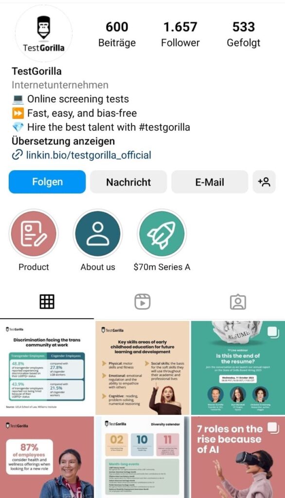 So präsentiert sich TestGorilla auf Instagram.